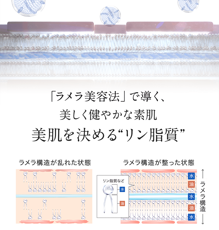 ラメラ構造が乱れた肌と整った肌の違いを比較した図解