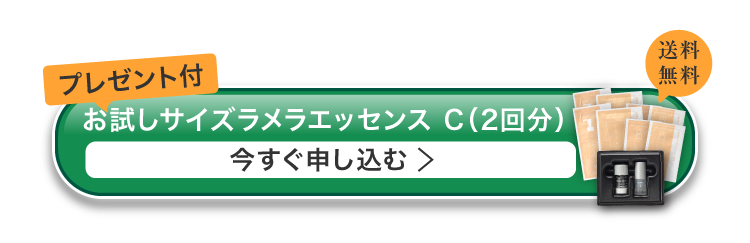 今すぐ申し込む